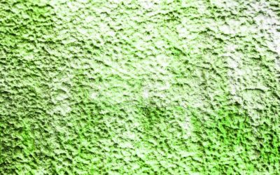 How to Choose the Right Drywall Texture