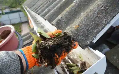 Is it Time to Clean Your Gutters?