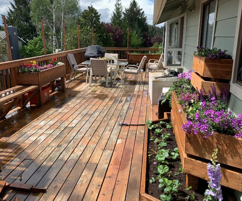 Deck staining in the Portland metro