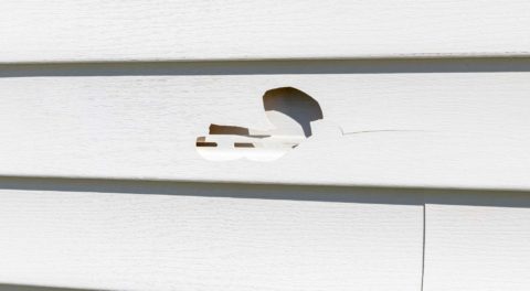 How To Repair the Most Common Vinyl Siding Issues