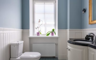 Considerations and Recommendations To Choose the Best Color To Paint Your Bathroom